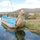 チチカカ湖のトトラ舟と呼ばれる葦舟